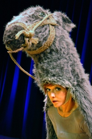 Piel de asno. Teatro del Temple